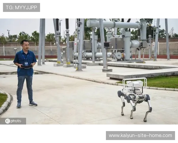 智能巡检机器人在本季度投入使用 强化了场馆底层运维保障